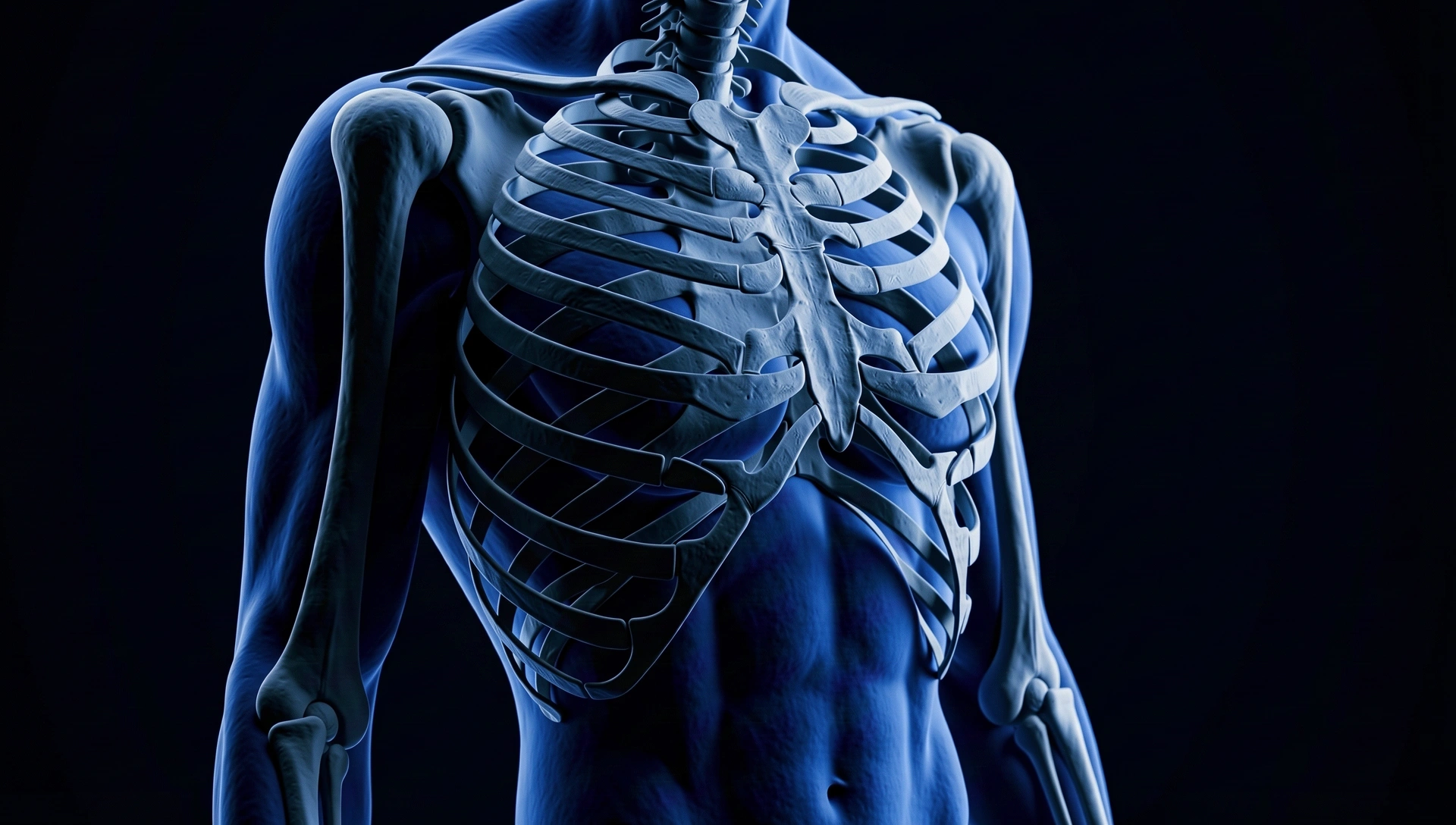 Biomechanical alignment visualization